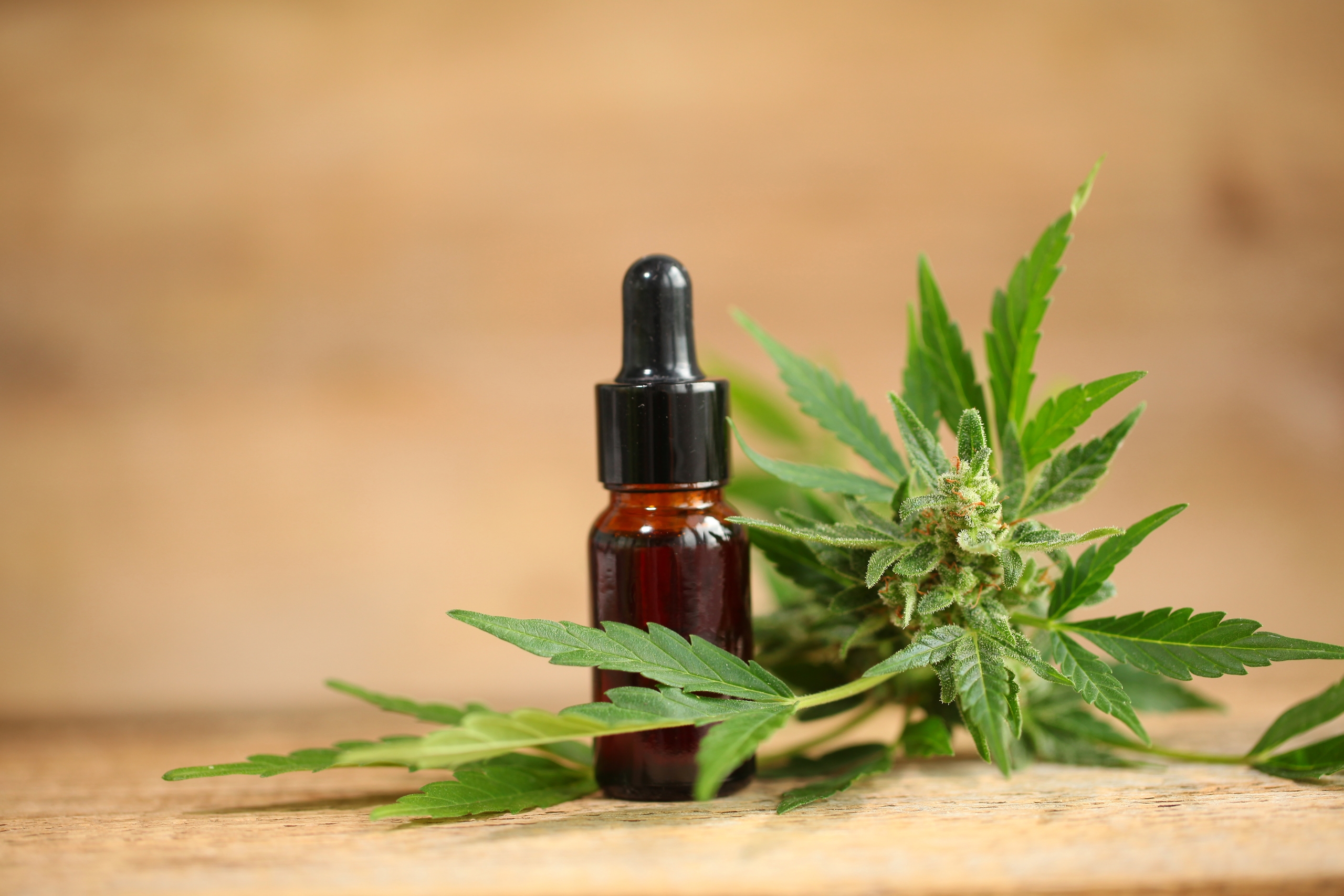 Veien Til Den Beste CBD Olje For Et Balansert Liv